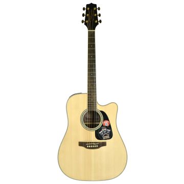 232797 Takamine GD51CE-NAT Naturale lucido