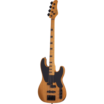 313736 Schecter Sesion del Modelo T