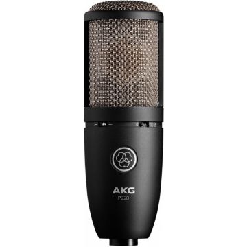 253117 AKG P220