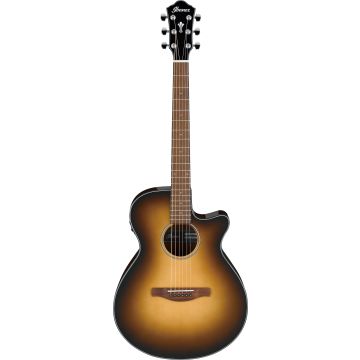 218200 Ibanez AEG50-DHH
