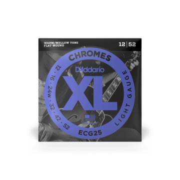 268144 DAddario ECG25 Flat Wound