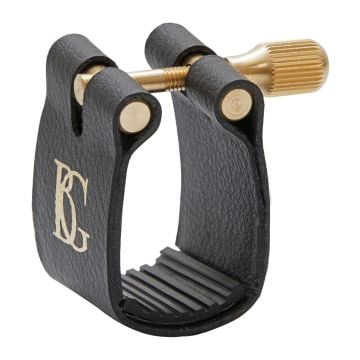 237293 BG L15  Blattschraube mit Kapsel