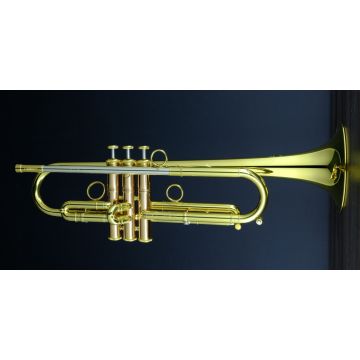 307304 Carol Brass Tromba Giuffredi Allround