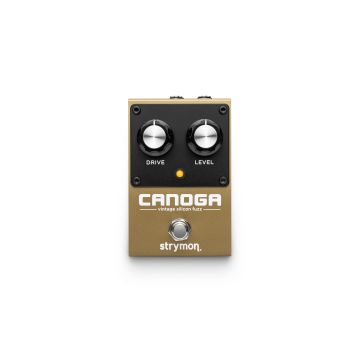 312884 Strymon Canoga