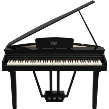 314617 Viva Viva Geweldig II