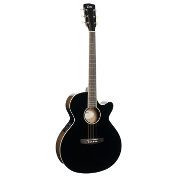 313624 Cort SFX Frene exotique