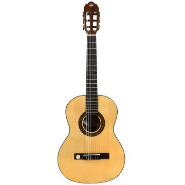 202870 Gewa Pro Arte GC 75 A